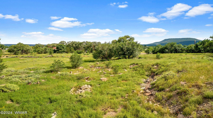 Parcel10520001K-Springerville-AZ-14