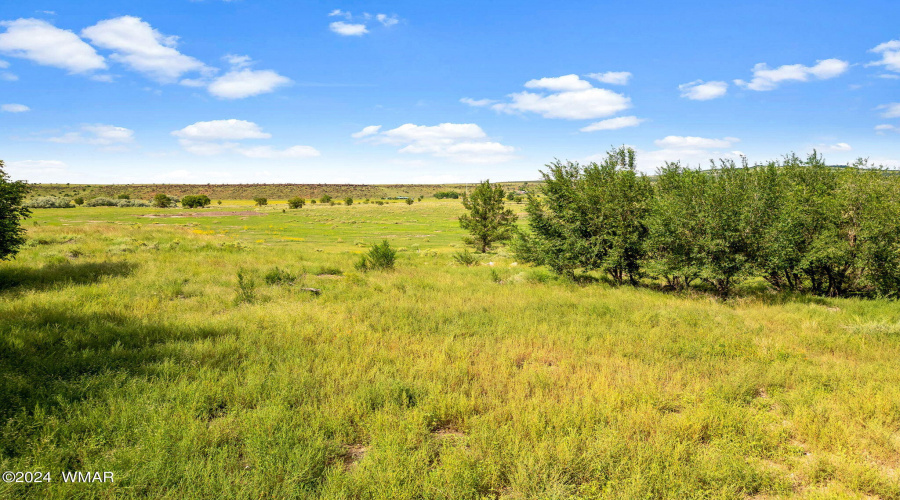 Parcel10520001K-Springerville-AZ-15