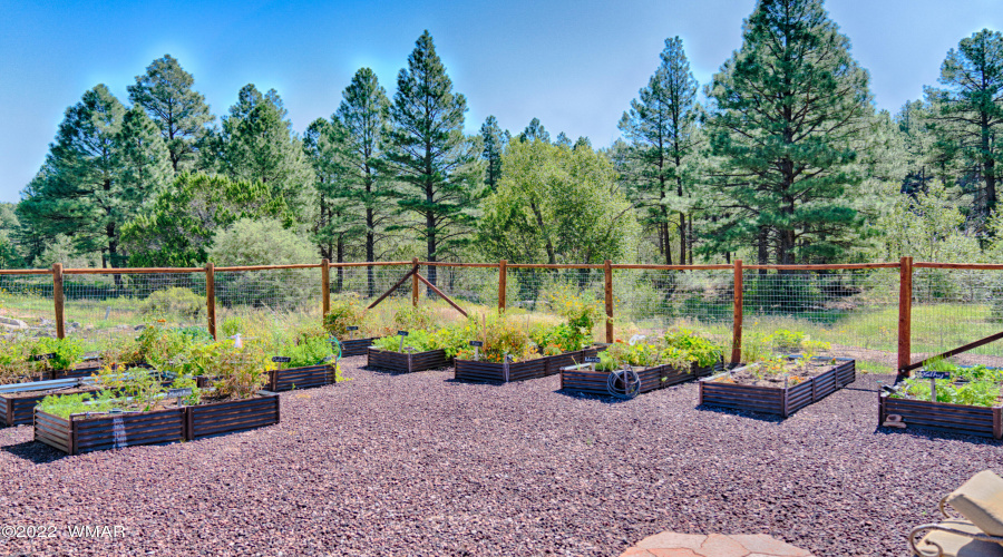 Bison Ridge Community Garden