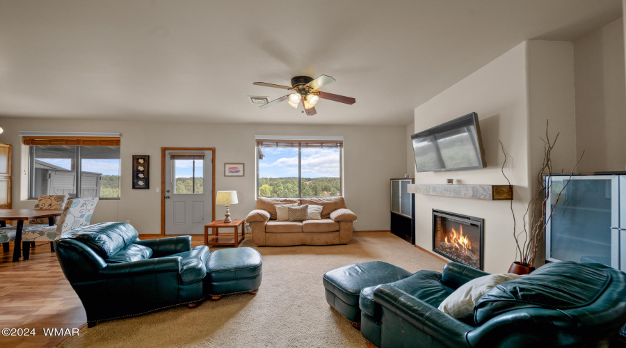 Newly Remodeled Living Room & Fireplace