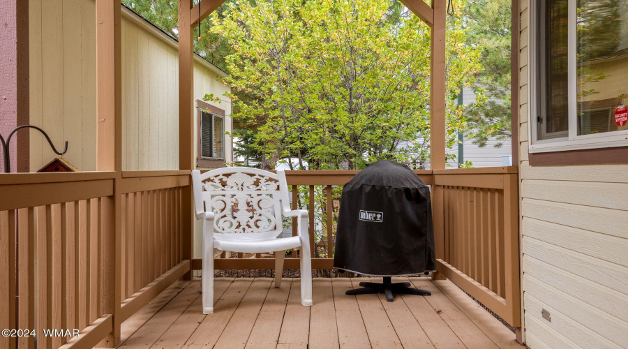 BACK PORCH