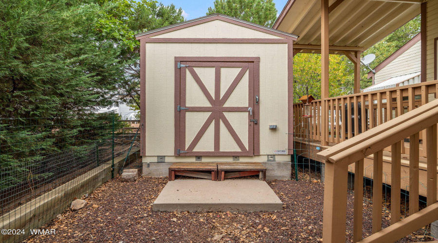 SHED IN BACK YARD