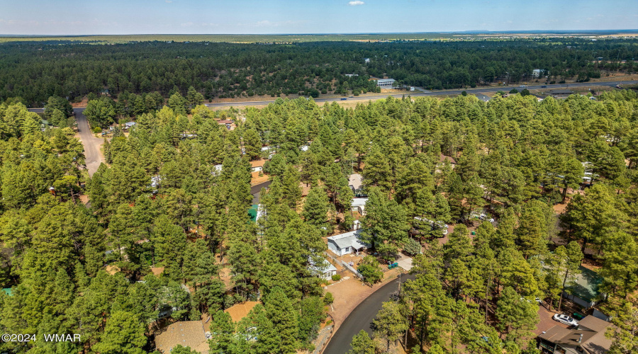 Aerial View of the Community