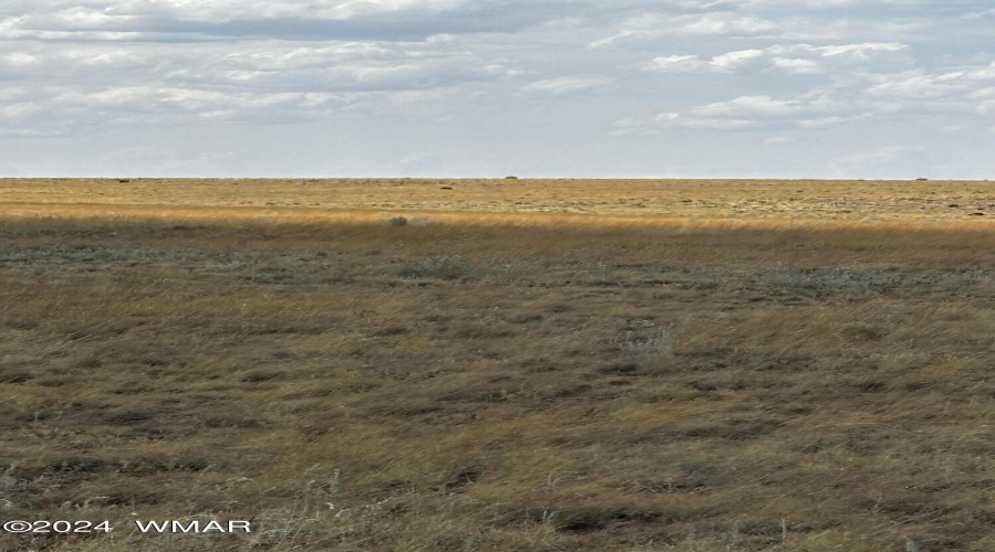 Grass Lands