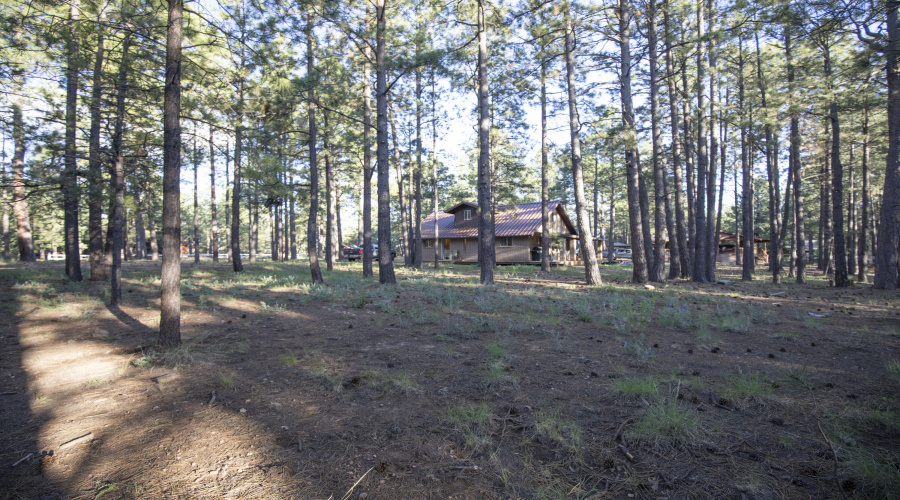 2452 Daisy Trail 34