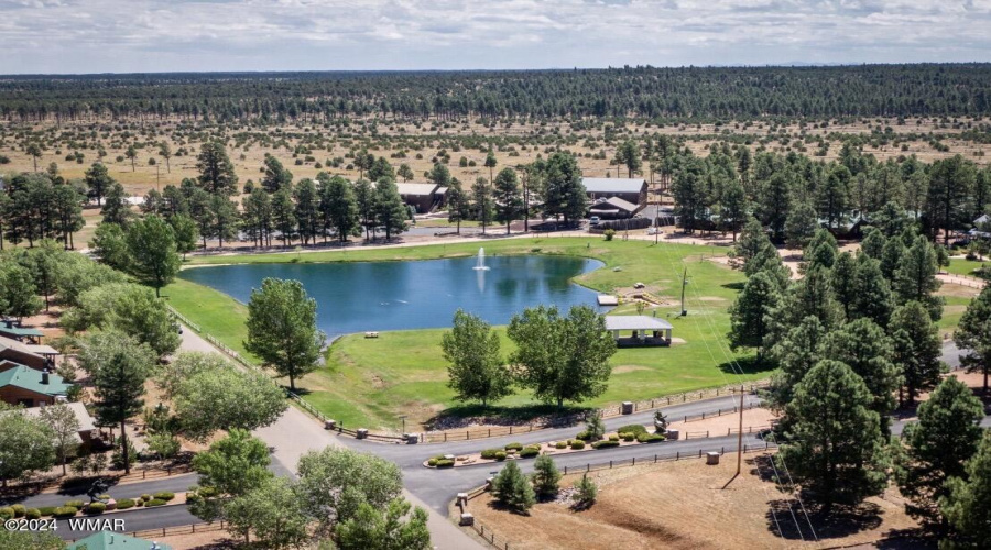 AERIAL VIEW OF THE PARK