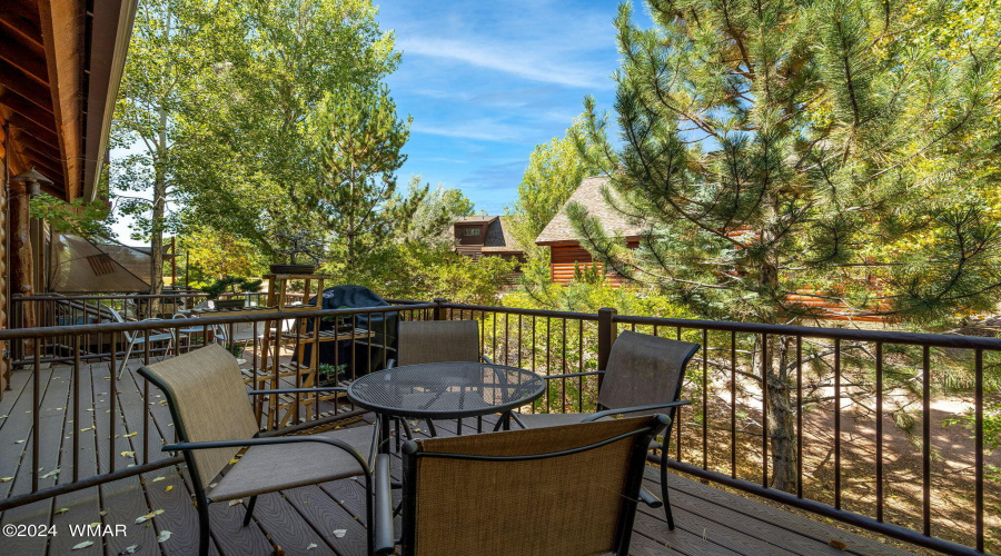 2274OvergaardSpringsLoop-Heber-AZ-28