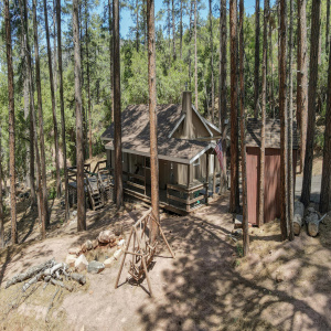 Cabin in the Woods