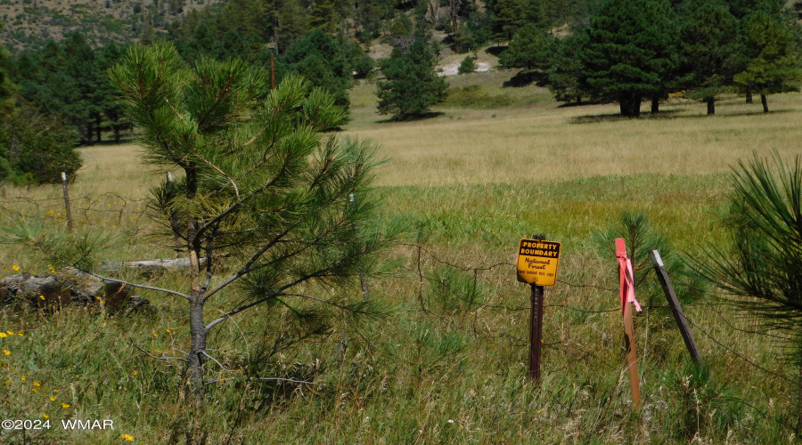 NATIONAL FOREST ACCESS