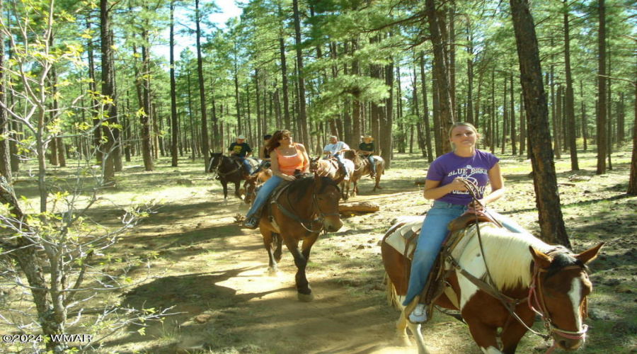 Horseback riding