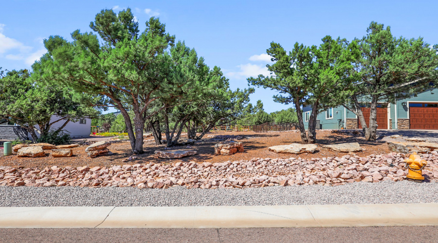 Side Yard w Trees