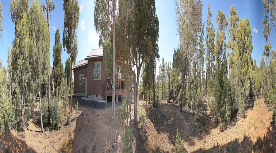 Backyard Pano