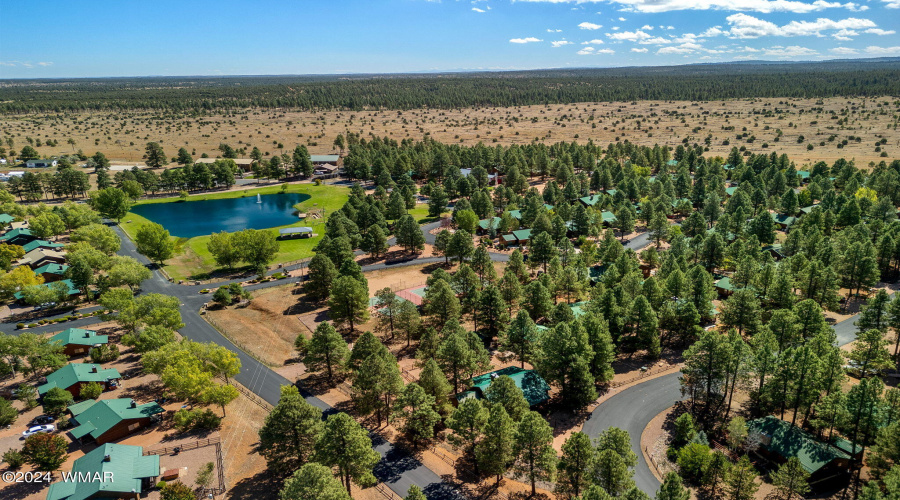 COMMUNITY AERIAL VIEW