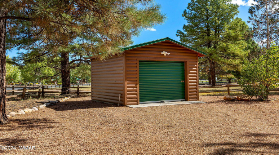 SHED IN THE BACK YARD