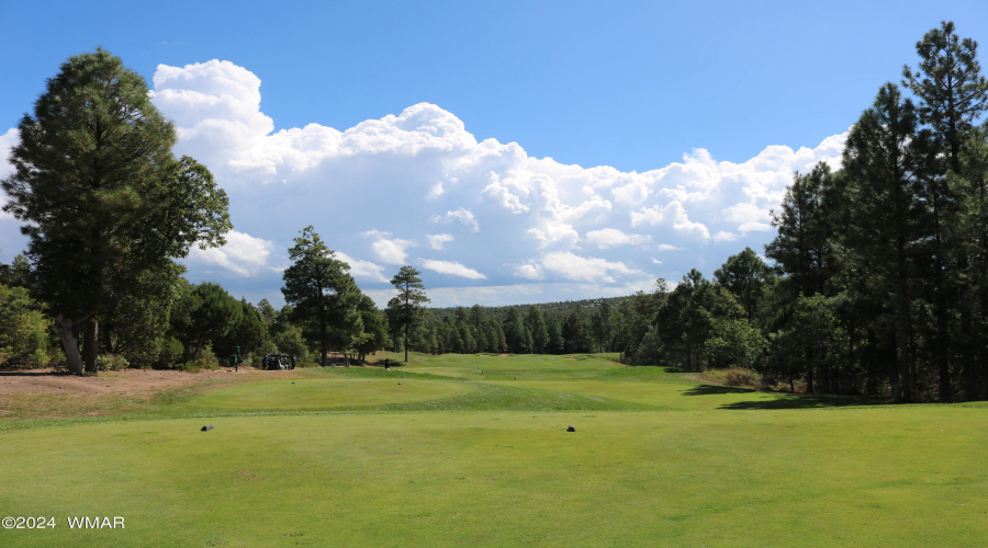 Golf View