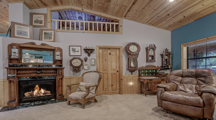 Fireplace in living room