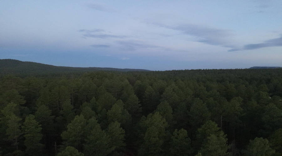 DJI_20240802052518_0019_W