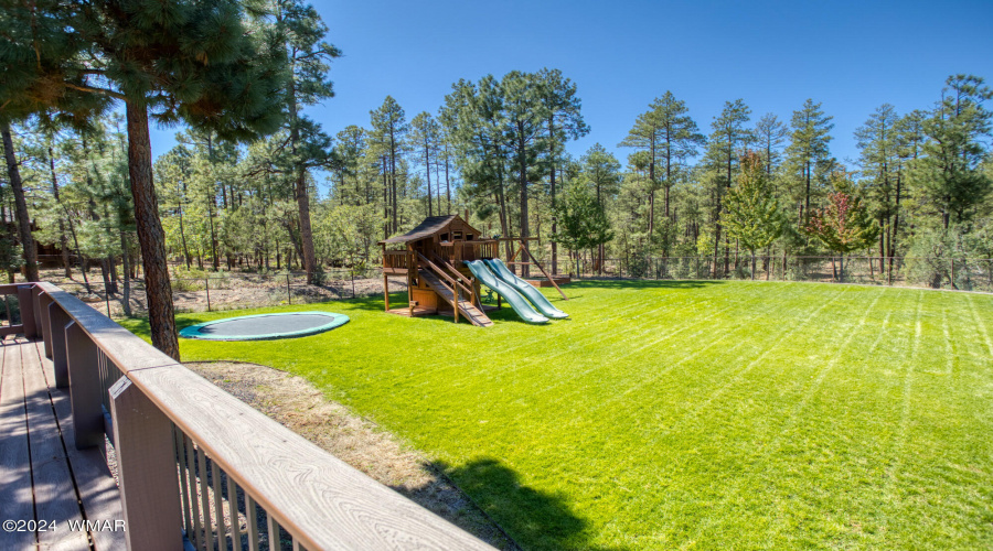 Fenced & Grass Backyard