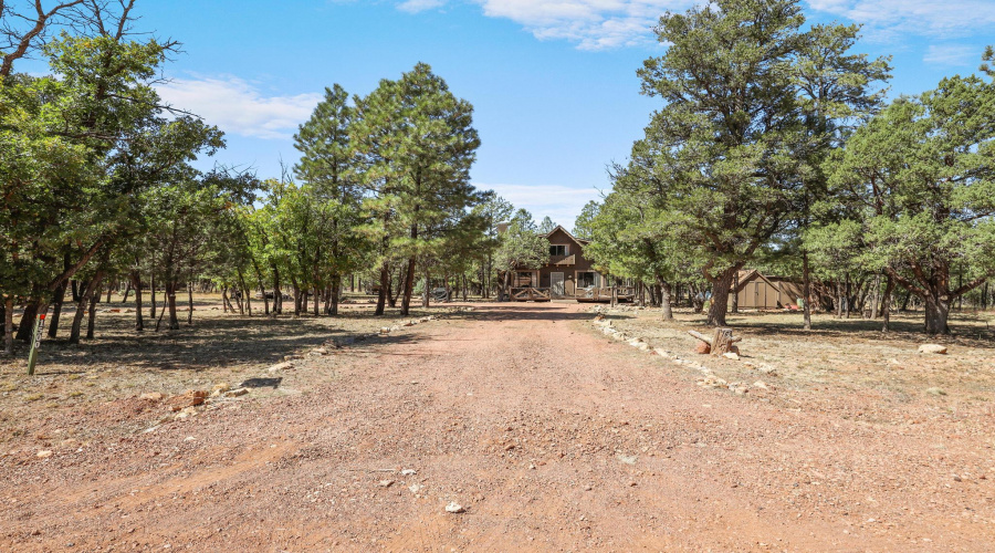 Lots of parking on circular driveway