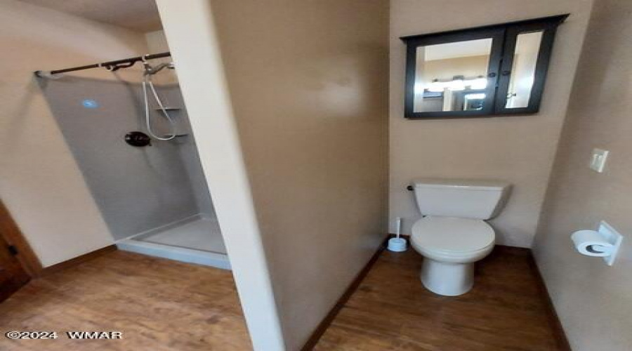 Master Bath 2