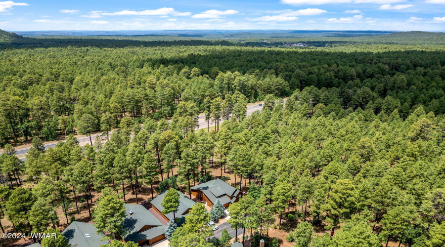 2864TimberlineRd-Pinetop-AZ-31