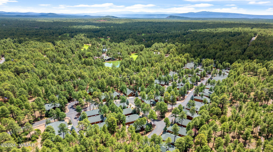 2864TimberlineRd-Pinetop-AZ-32