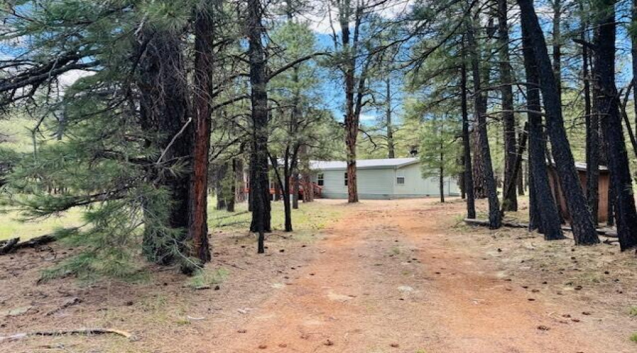 driveway view