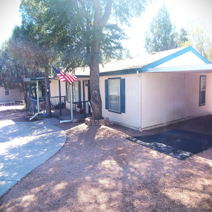 3933 E AZ Hwy 260 #273 112454