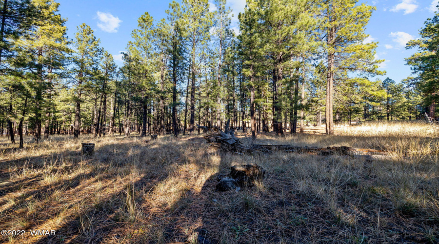 Parcel103-07-004M-Greer-AZ-1