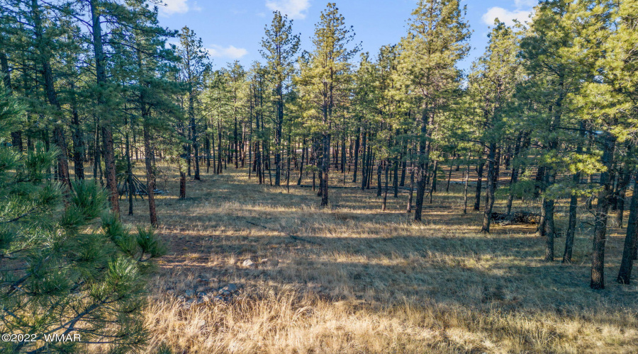 Parcel103-07-004M-Greer-AZ-18