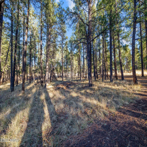 Parcel103-07-004M-Greer-AZ-6