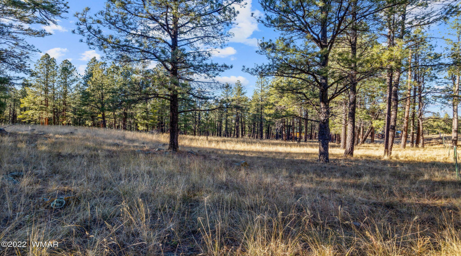 Parcel103-07-004M-Greer-AZ-3