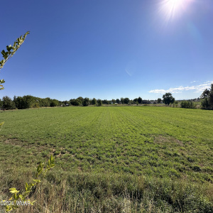 Agricultural Land