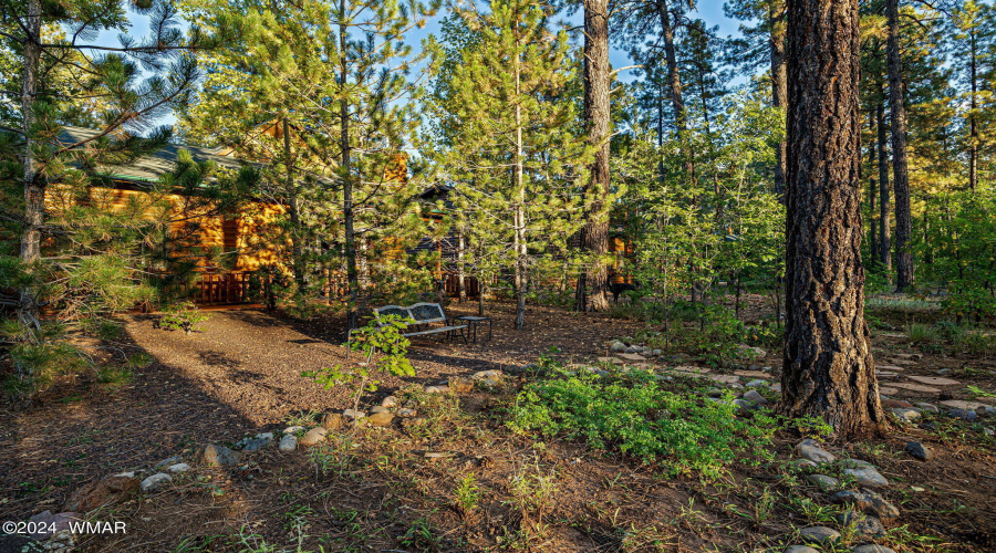 Back of home surrounded by trees