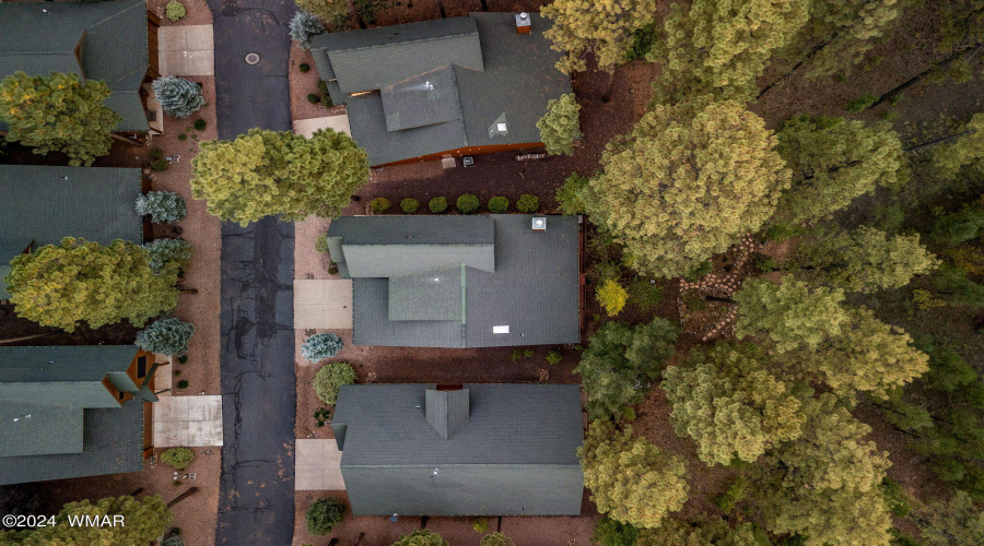 Aerial Roof View