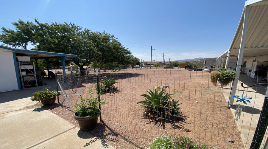 Fenced Back Yard