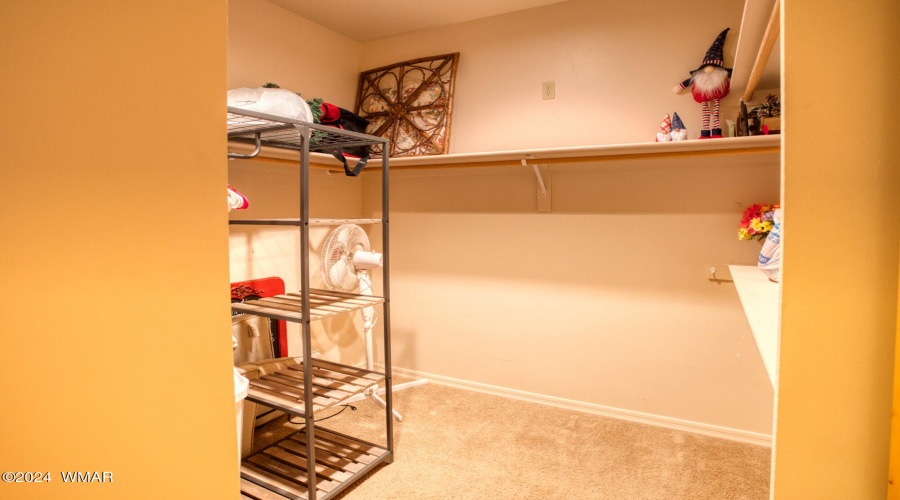 Master Walk-In Closet