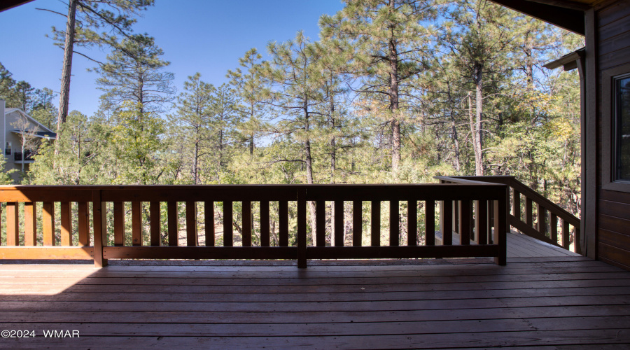 Rear Deck Views