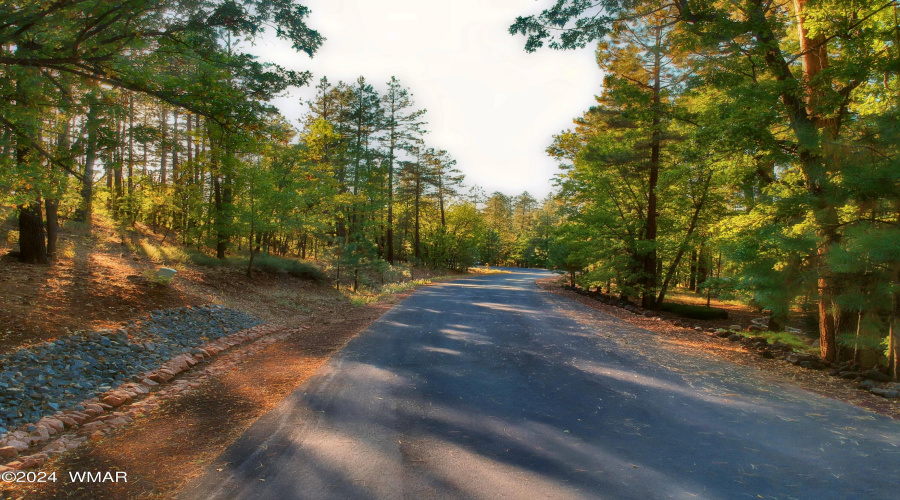 Bent Oak To Pinetree Ln - Property Left