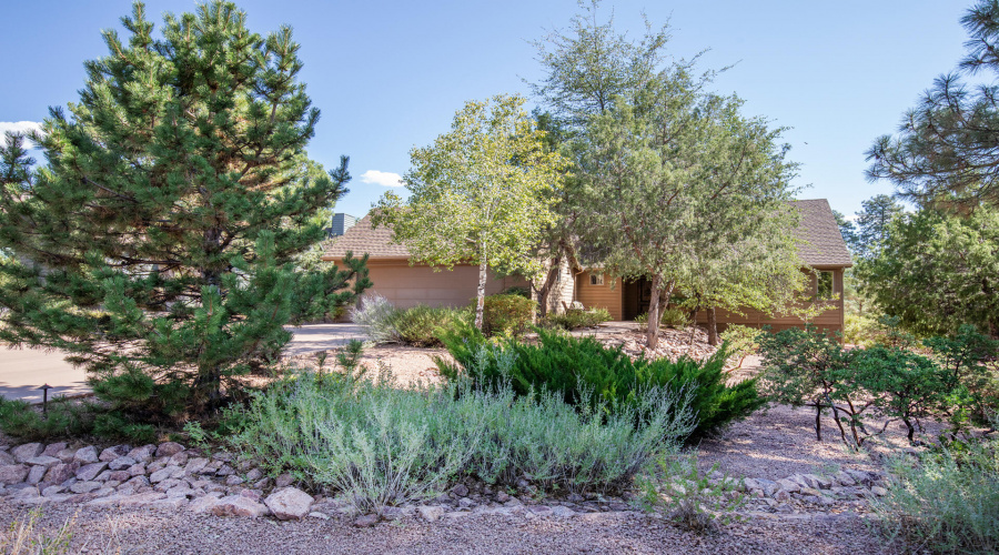 Beautiful Front Yard landscaping