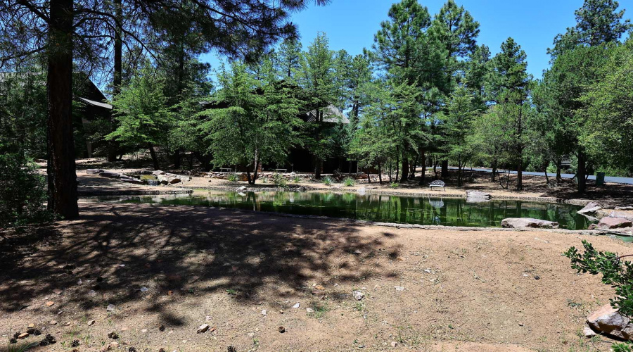 Pond behind Home