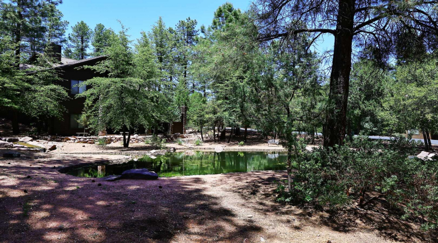 Pond behind Home2