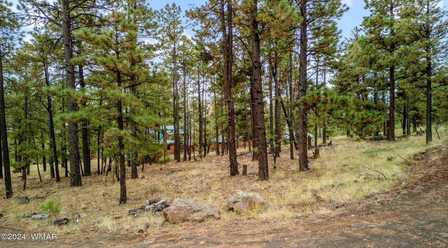 Parcel10205026-Greer-AZ-13