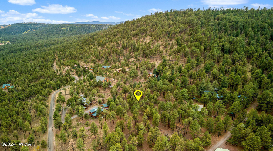 Parcel10205026-Greer-AZ-16