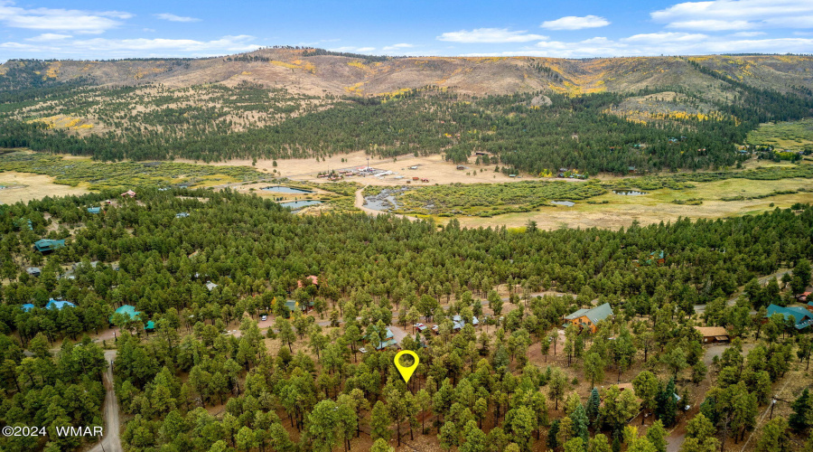 Parcel10205026-Greer-AZ-18