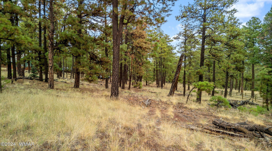 Parcel10205026-Greer-AZ-12