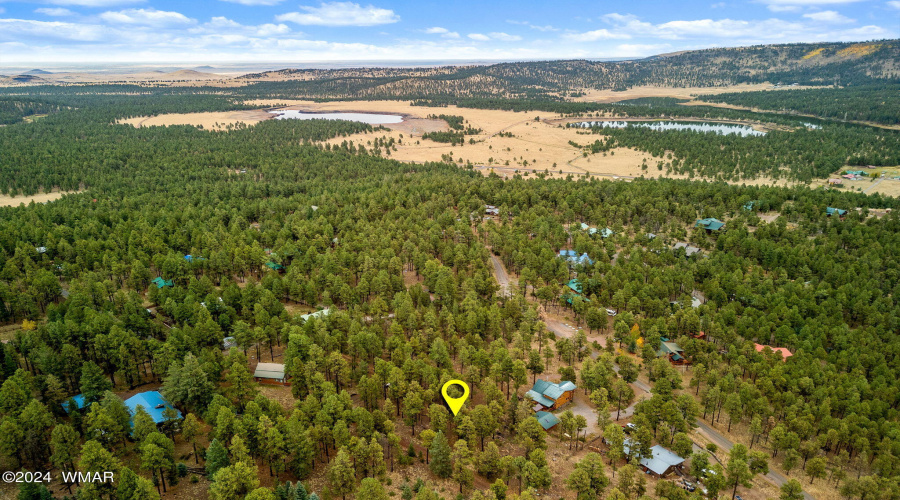 Parcel10205026-Greer-AZ-19