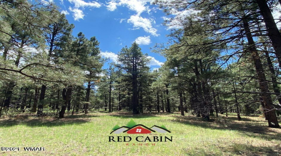 Red Cabin Ranch