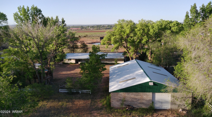 View over the back yard