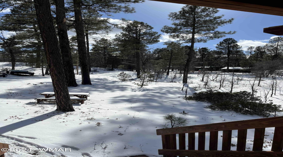 Snow Driveway